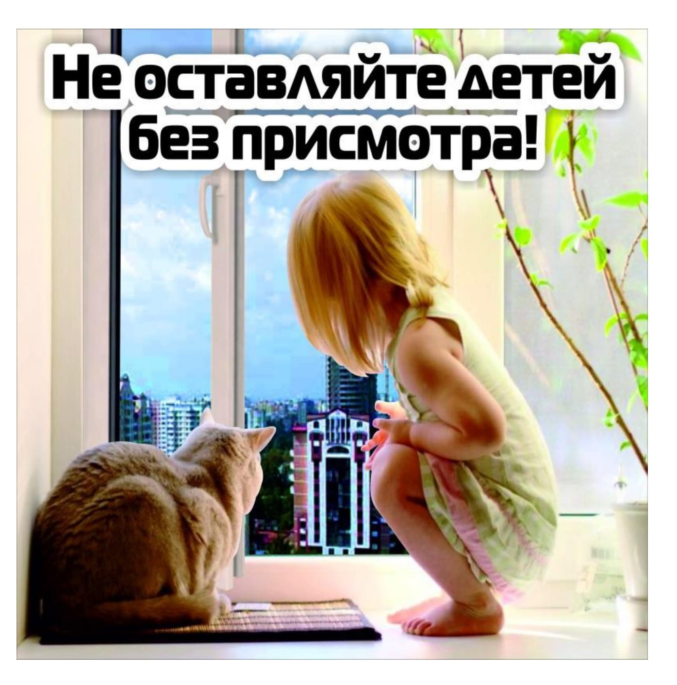 Deti iz okna 2021 6