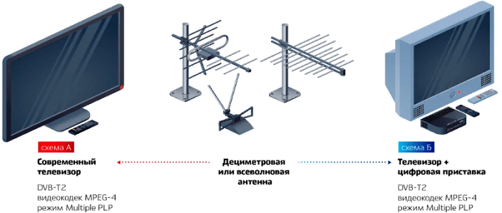 smotricifru.ru 